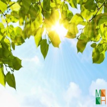 Tranh dán tường Hàn Quốc 3d khổ lớn tại Hà Nội NA - 070